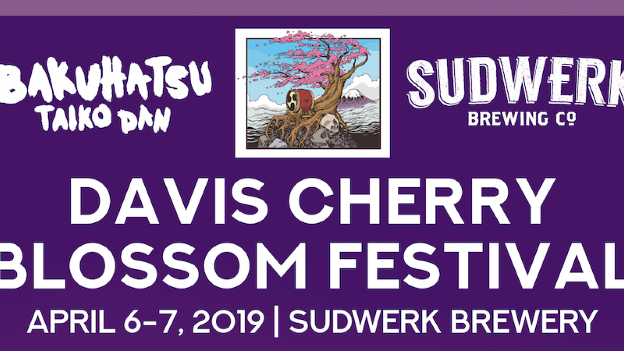 Cherry Blossom Festival graphic