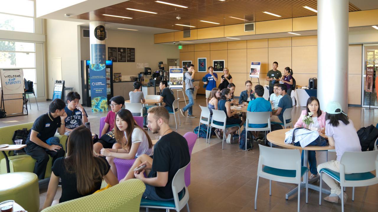 The Hub will link programming and resources across campus that support global learning domestically and internationally. Photo: UC Davis Students in the International Center