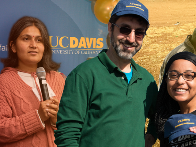 Faculty in teaching, research, service collage